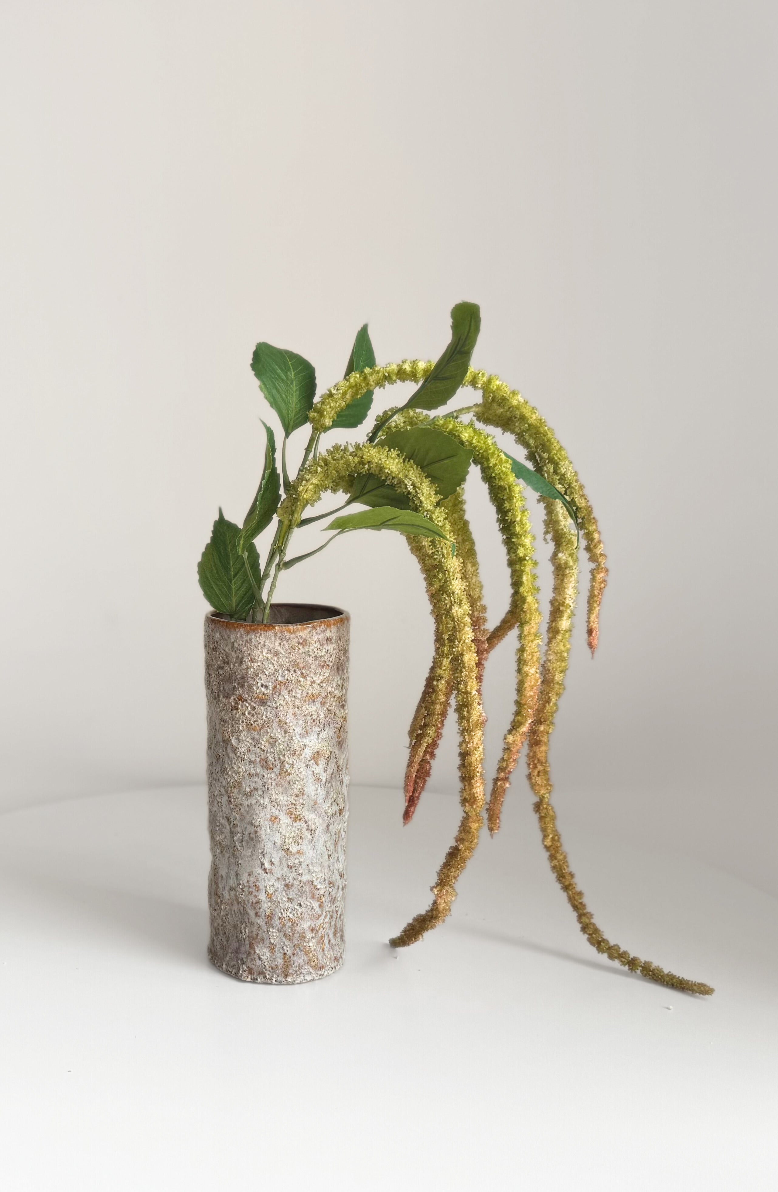 Amaranthus - Autumn Green