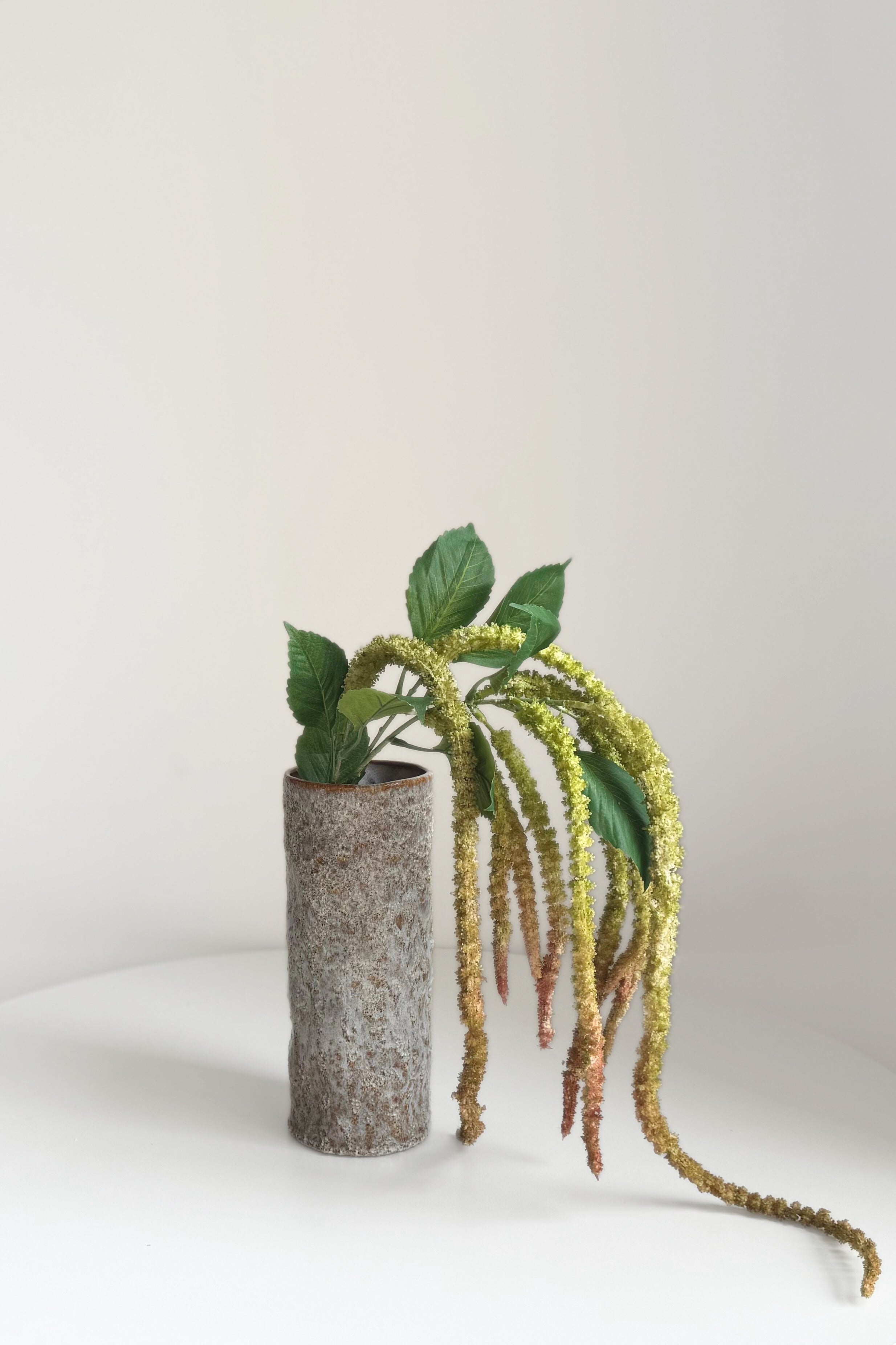 Amaranthus - Autumn Green