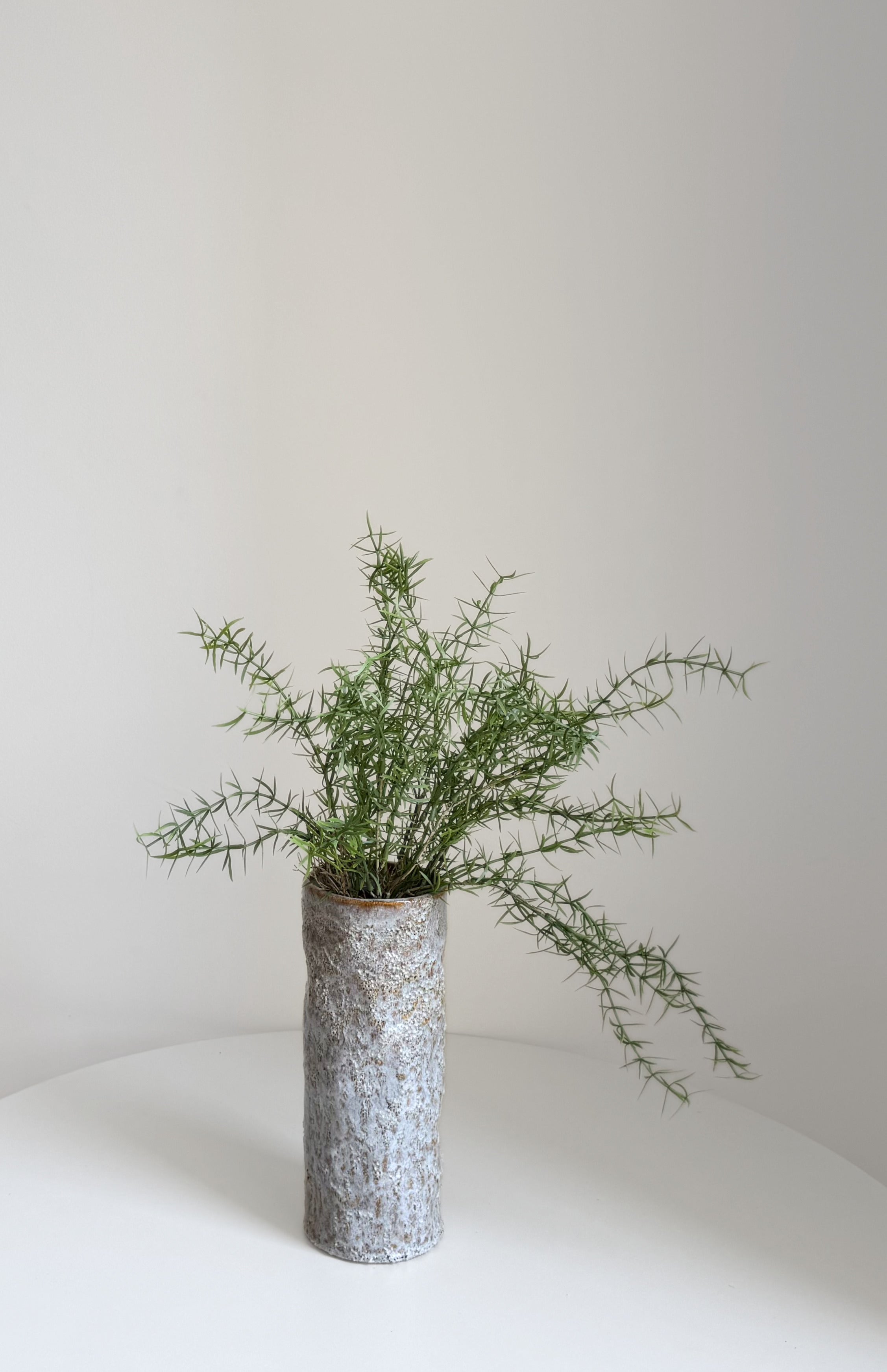 Emerald Fern Asparagus