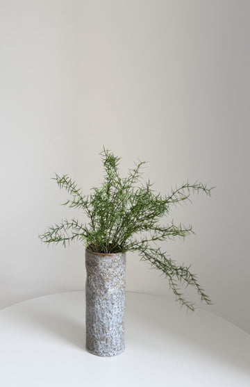Emerald Fern Asparagus