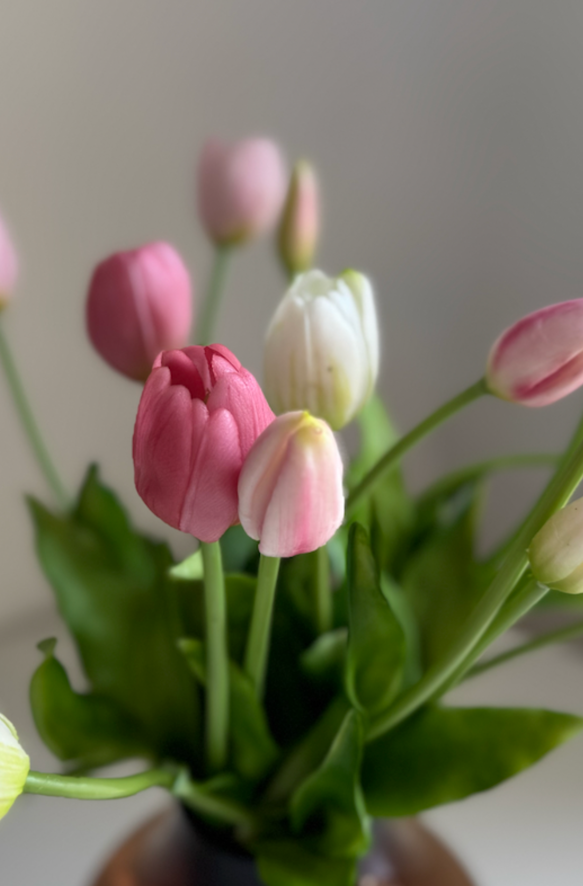 Blush Tulips bunch of 15