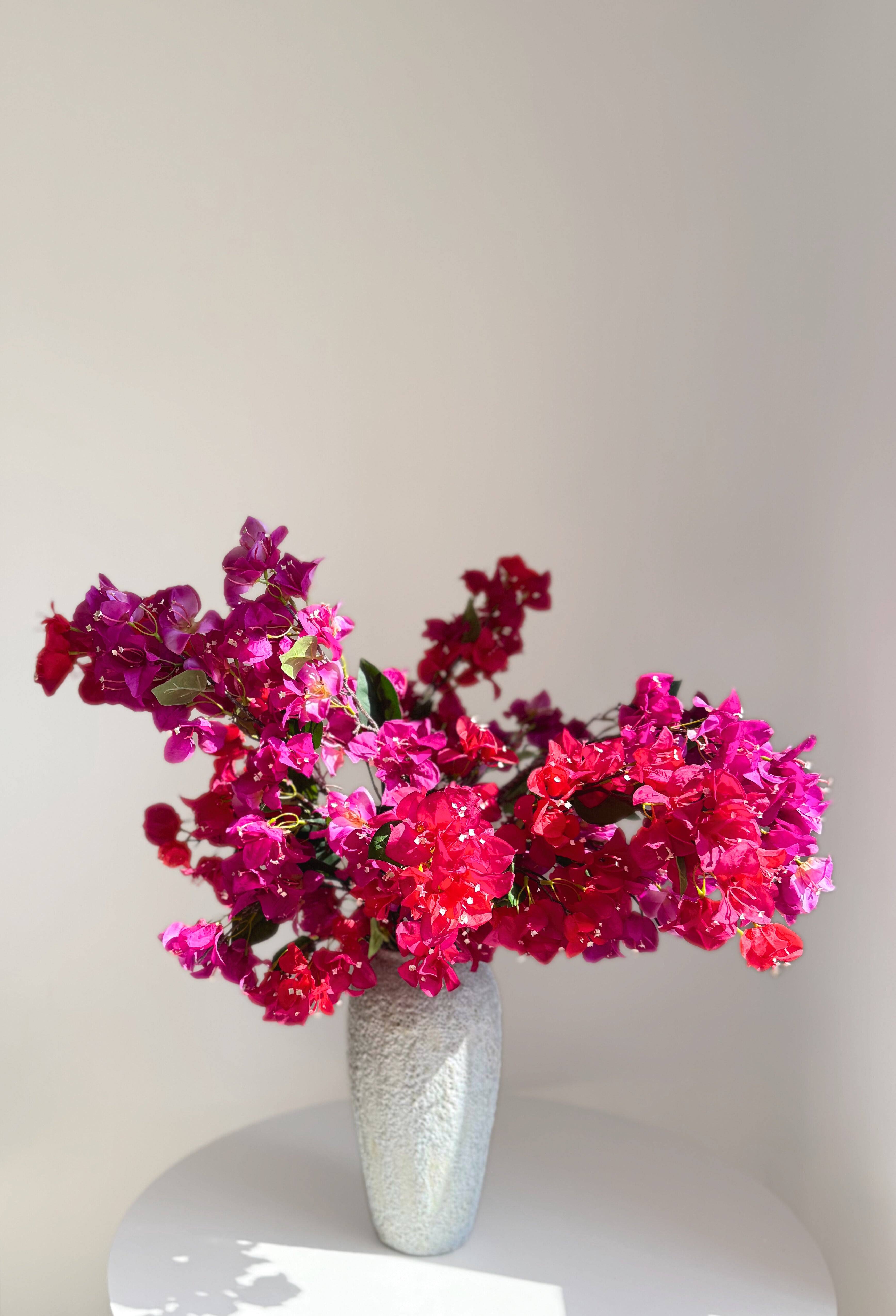 Mediterranean Bougainvillea