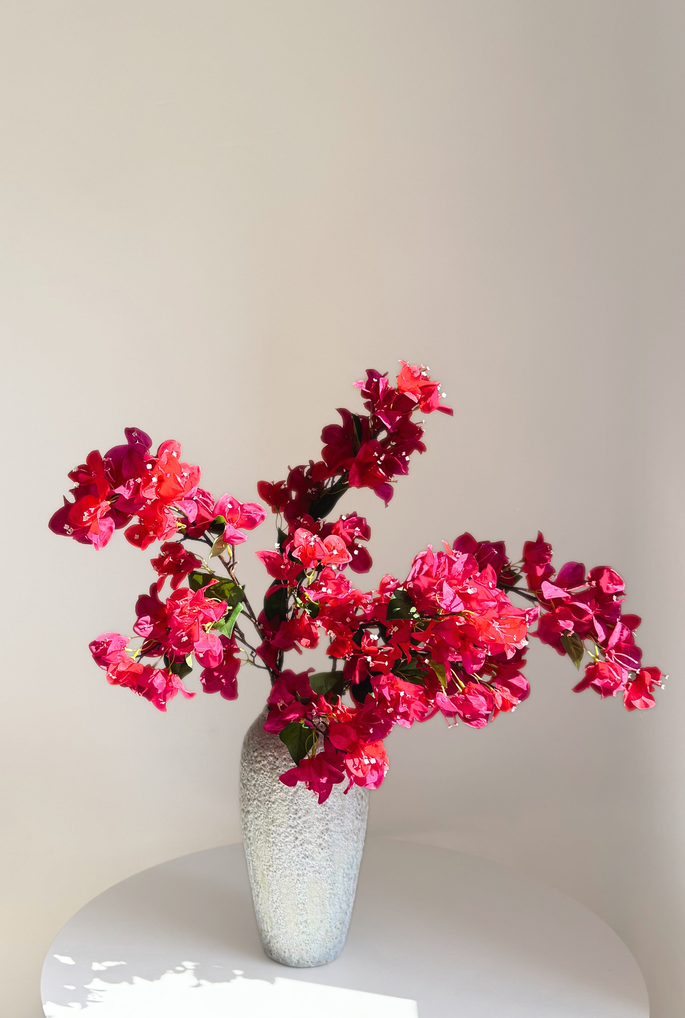 Mediterranean Bougainvillea - Pink