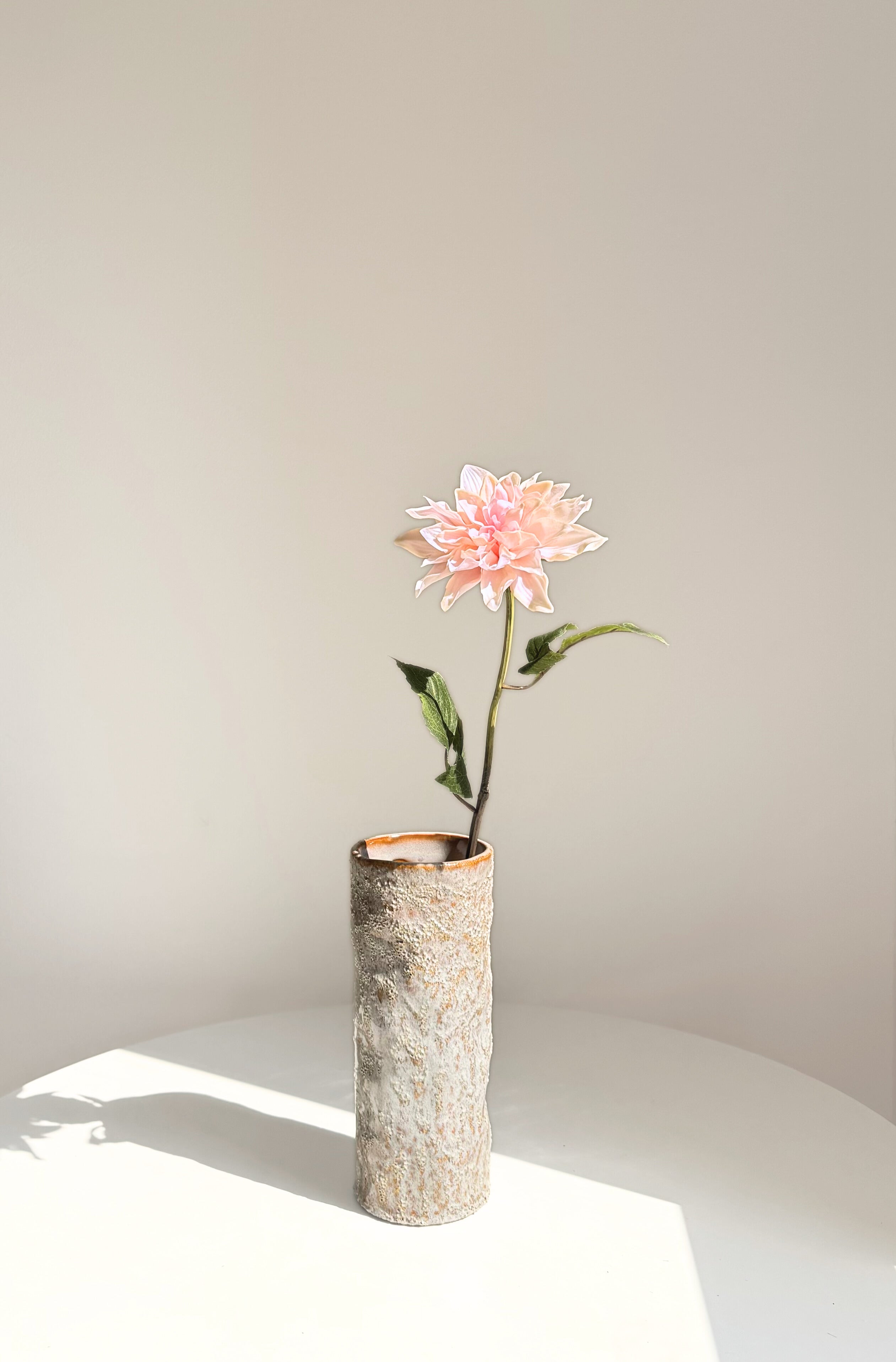 Cactus Dahlia Stem - Baby Pink