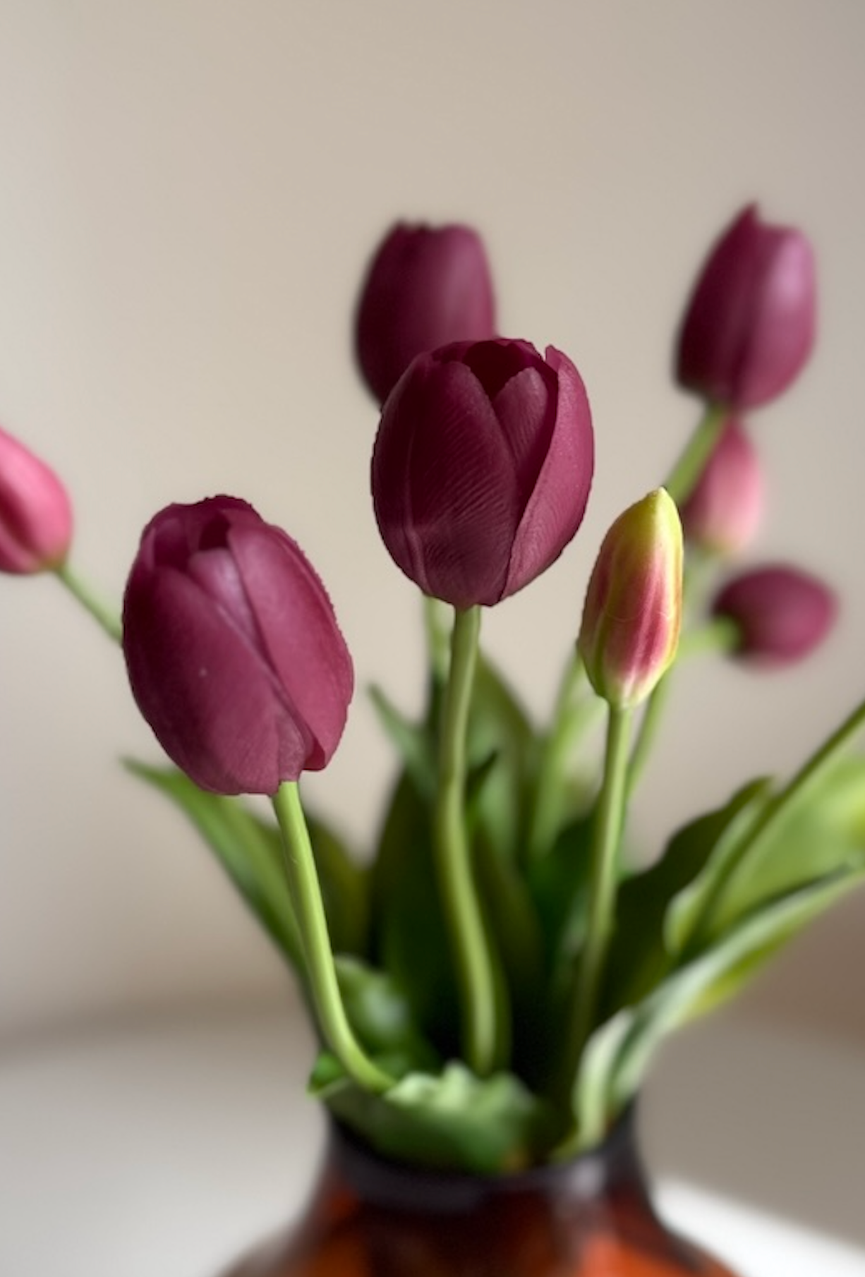 Dark Purple Tulips bunch of 10