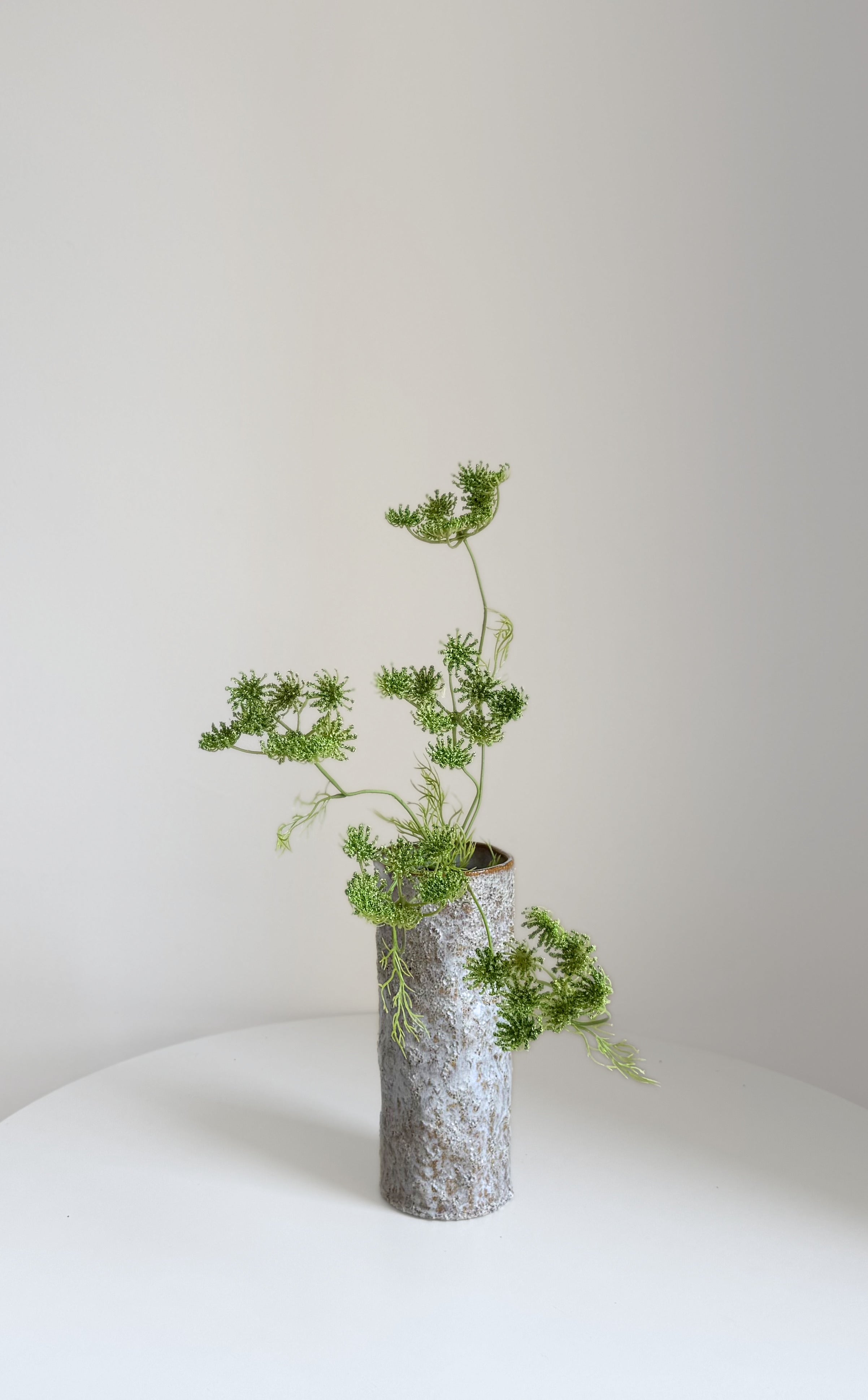 Green Lace Flower Stem