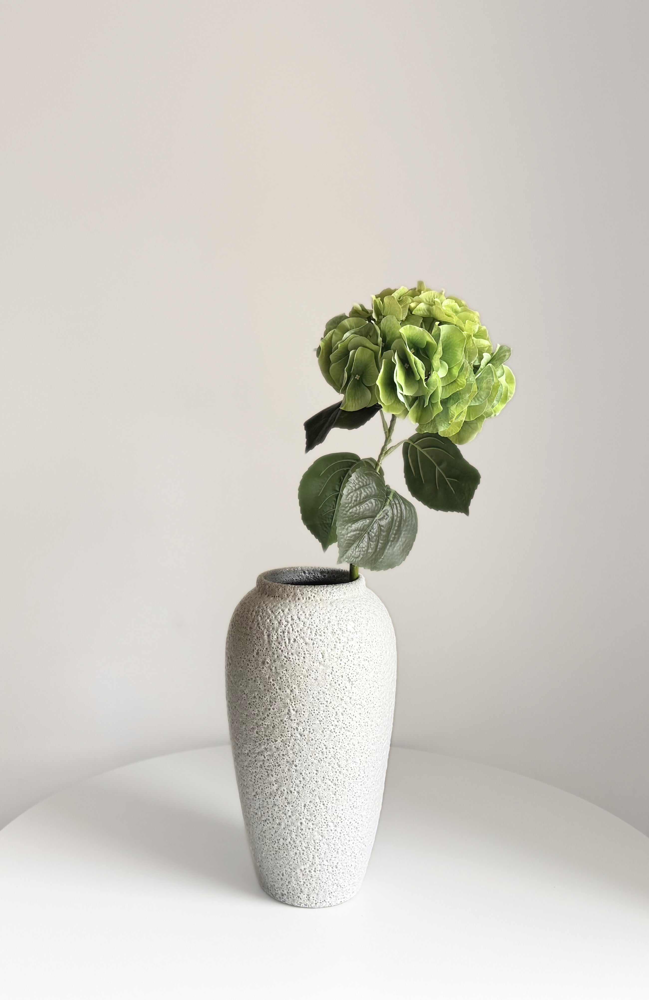 Hydrangea Stem - Crispy Green