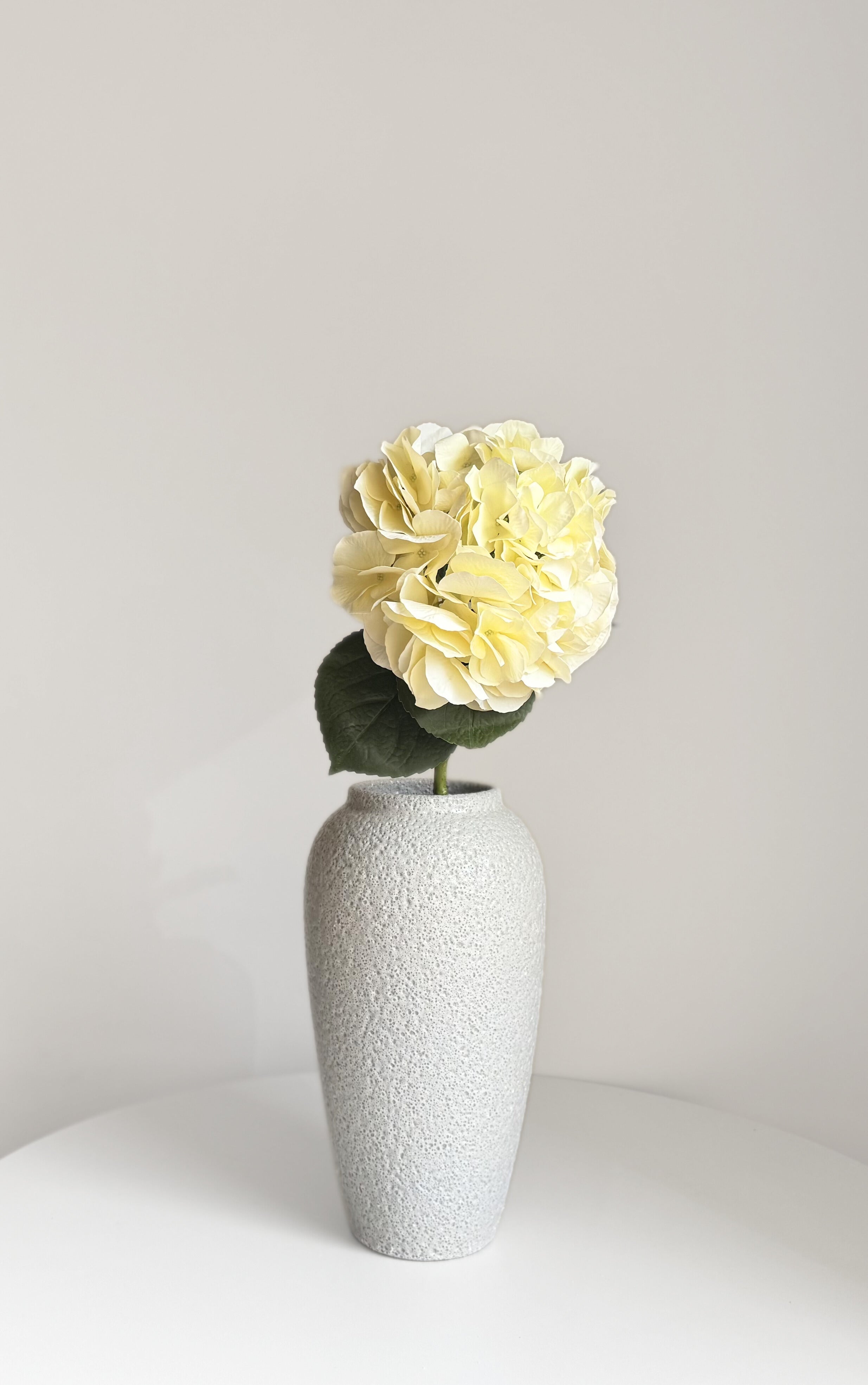 Hydrangea Stem - Ivory