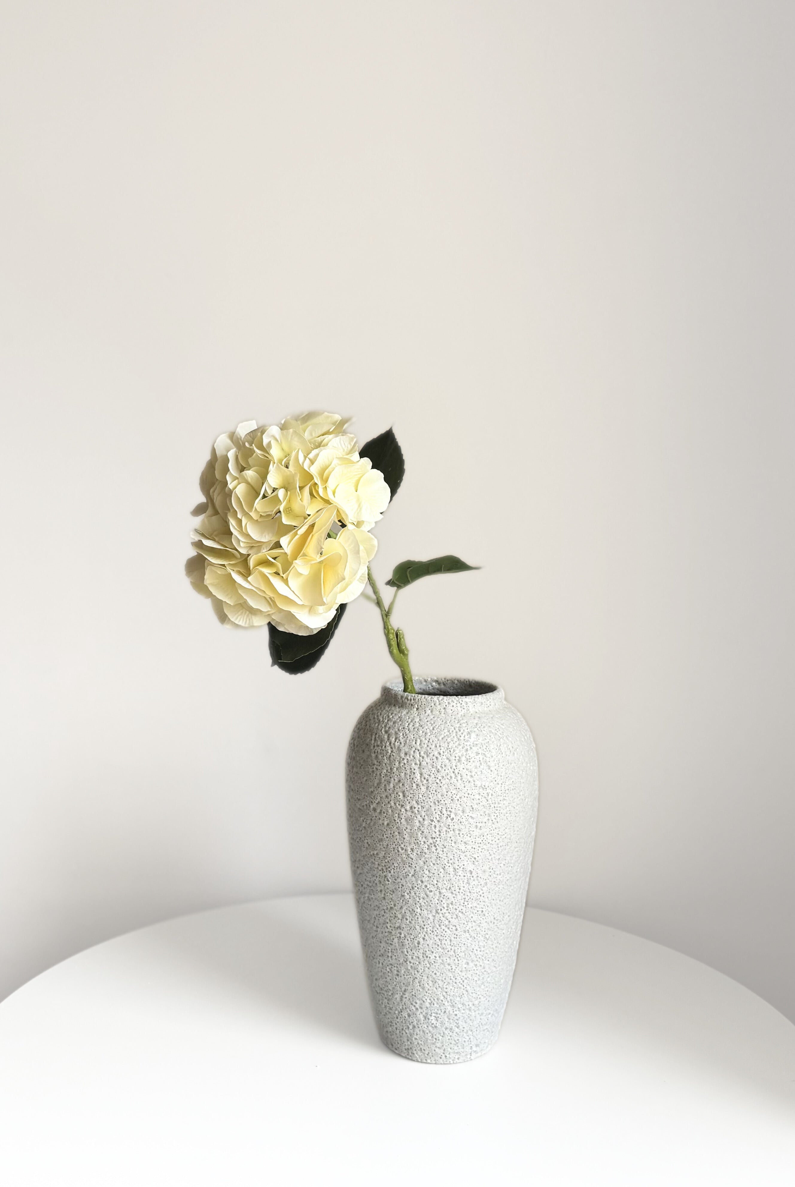 Hydrangea Stem - Ivory