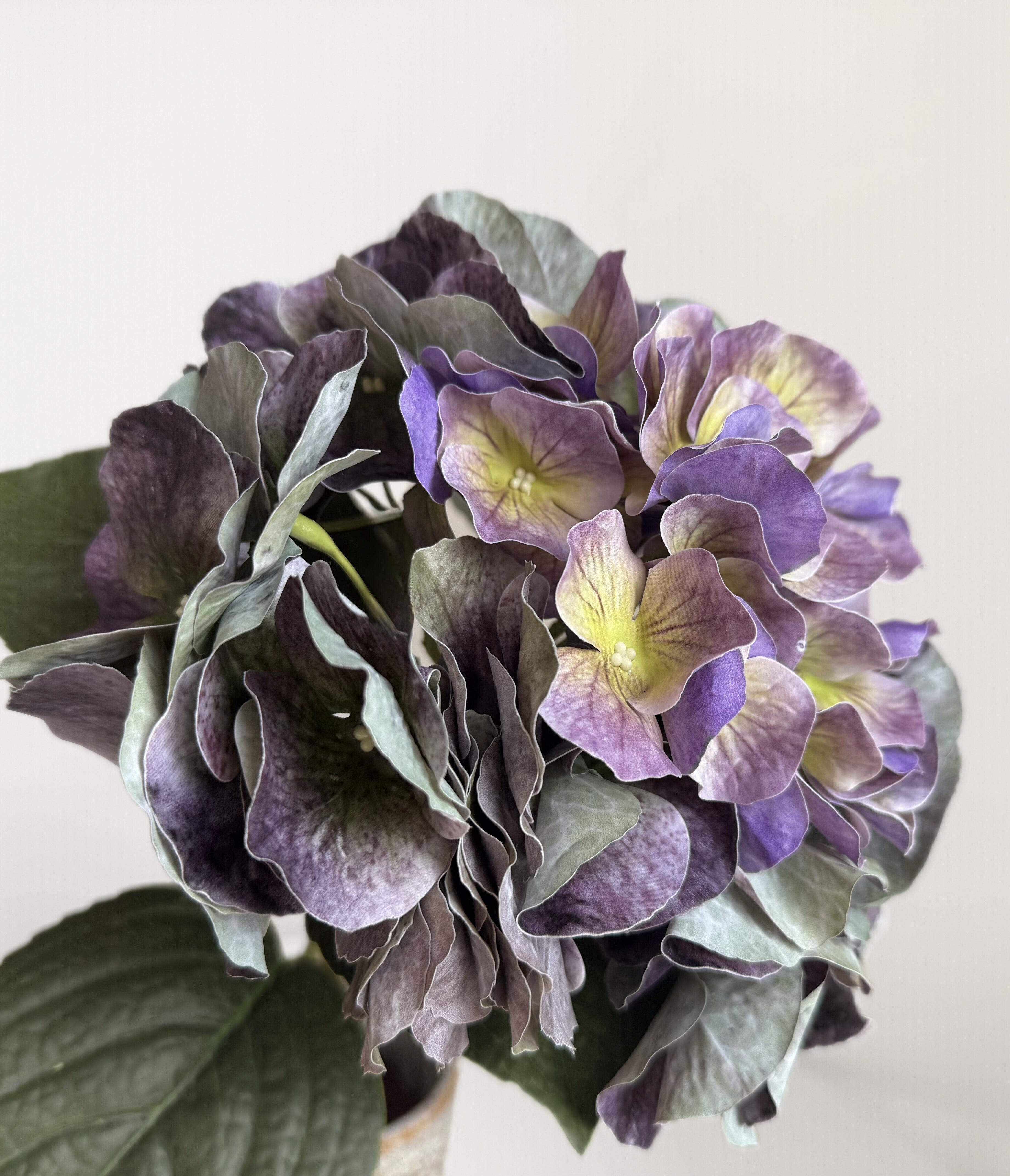 Hydrangea Stem - Mystic Purple