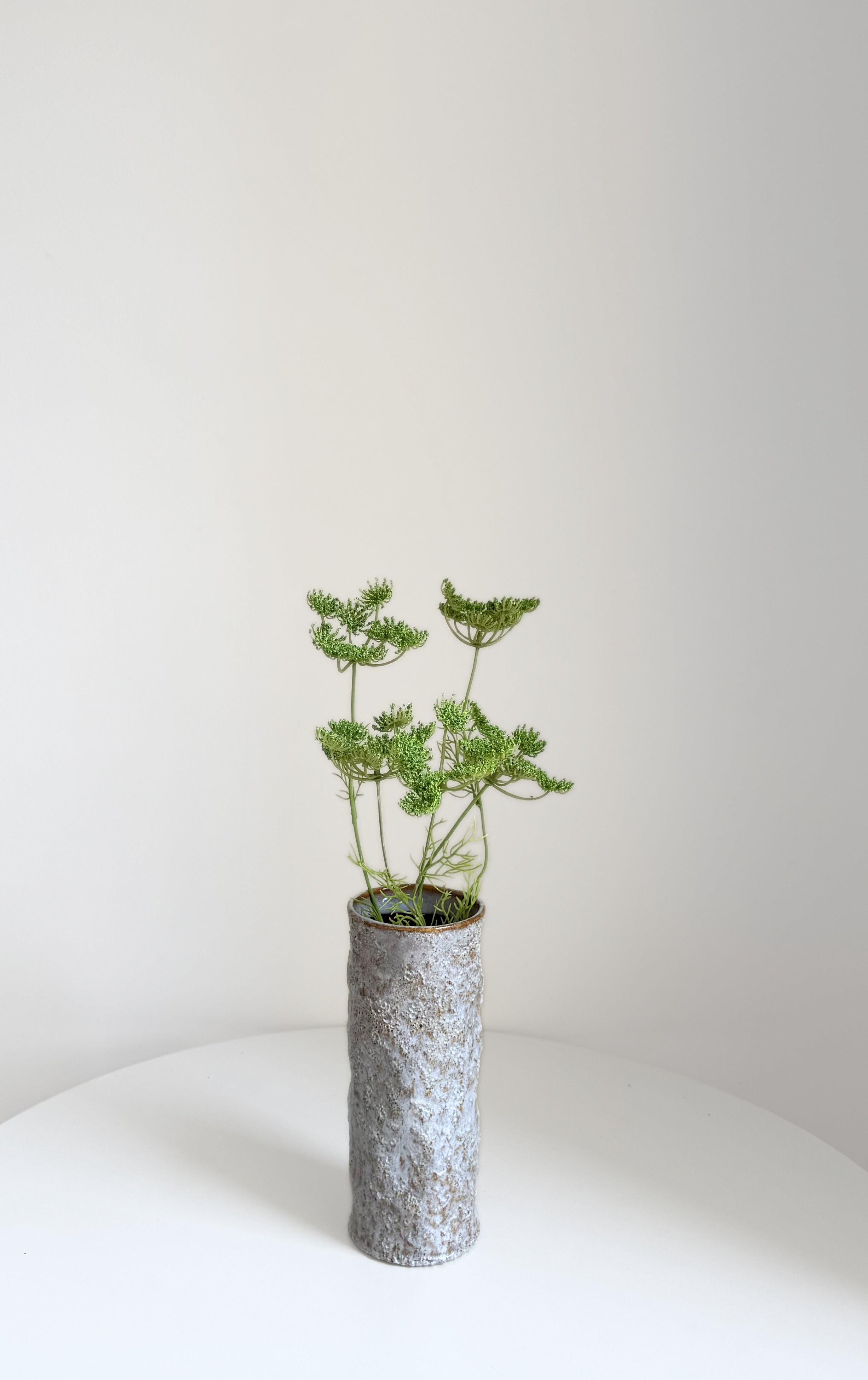Green Lace Flower Stem