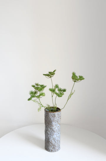 Green Lace Flower Stem
