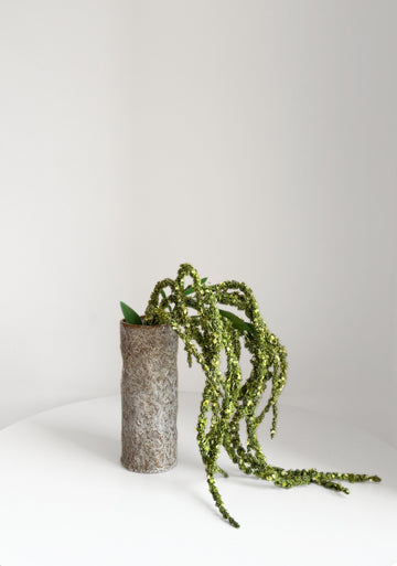 Long Foxtail Amaranth