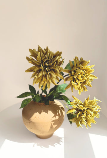 Magnificent Cactus Dahlia