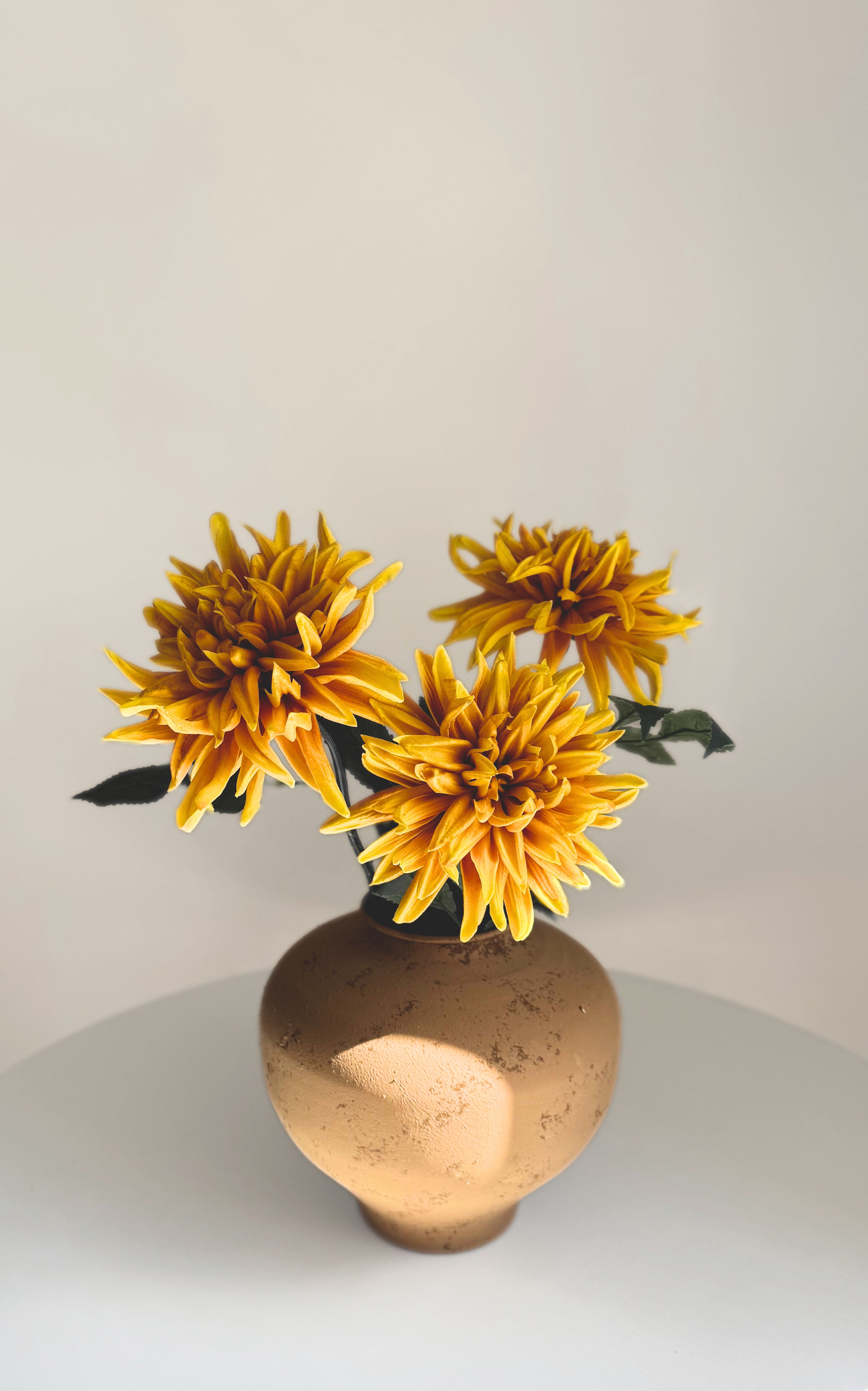 Magnificent Sun Dahlia