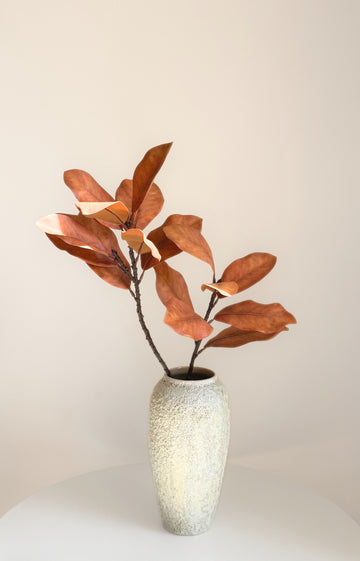Large Magnolia Branch - Brown
