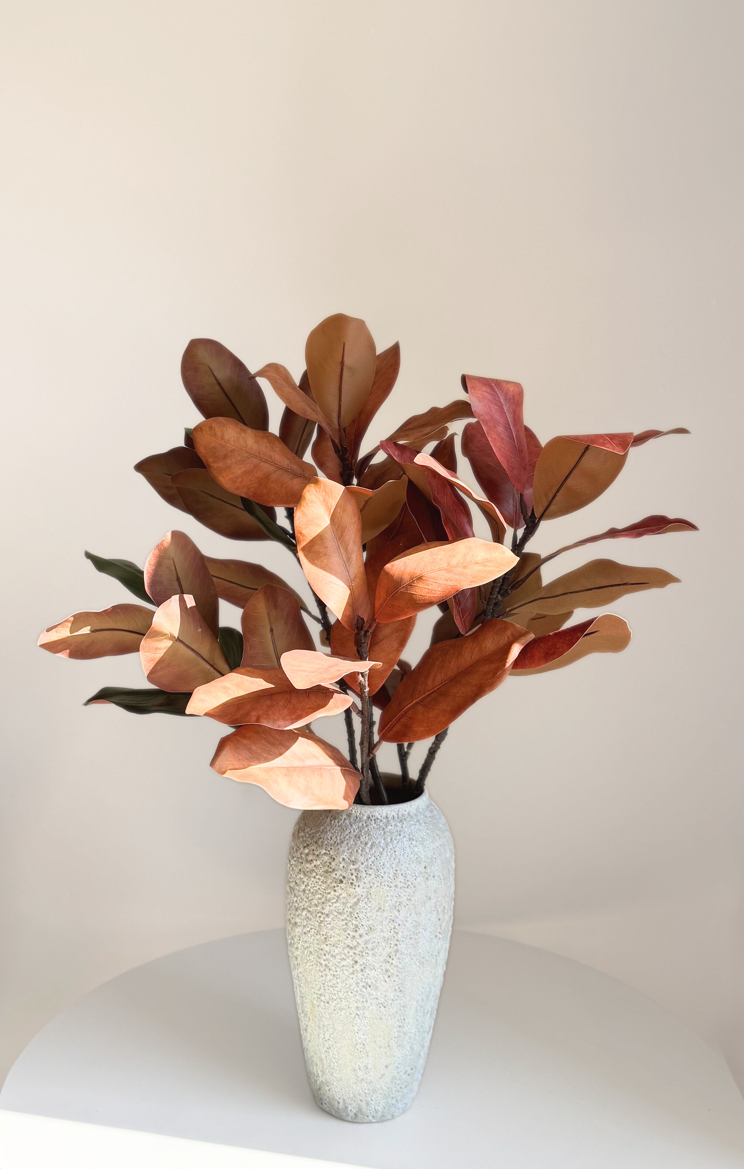 Large Magnolia Branches - Autumn