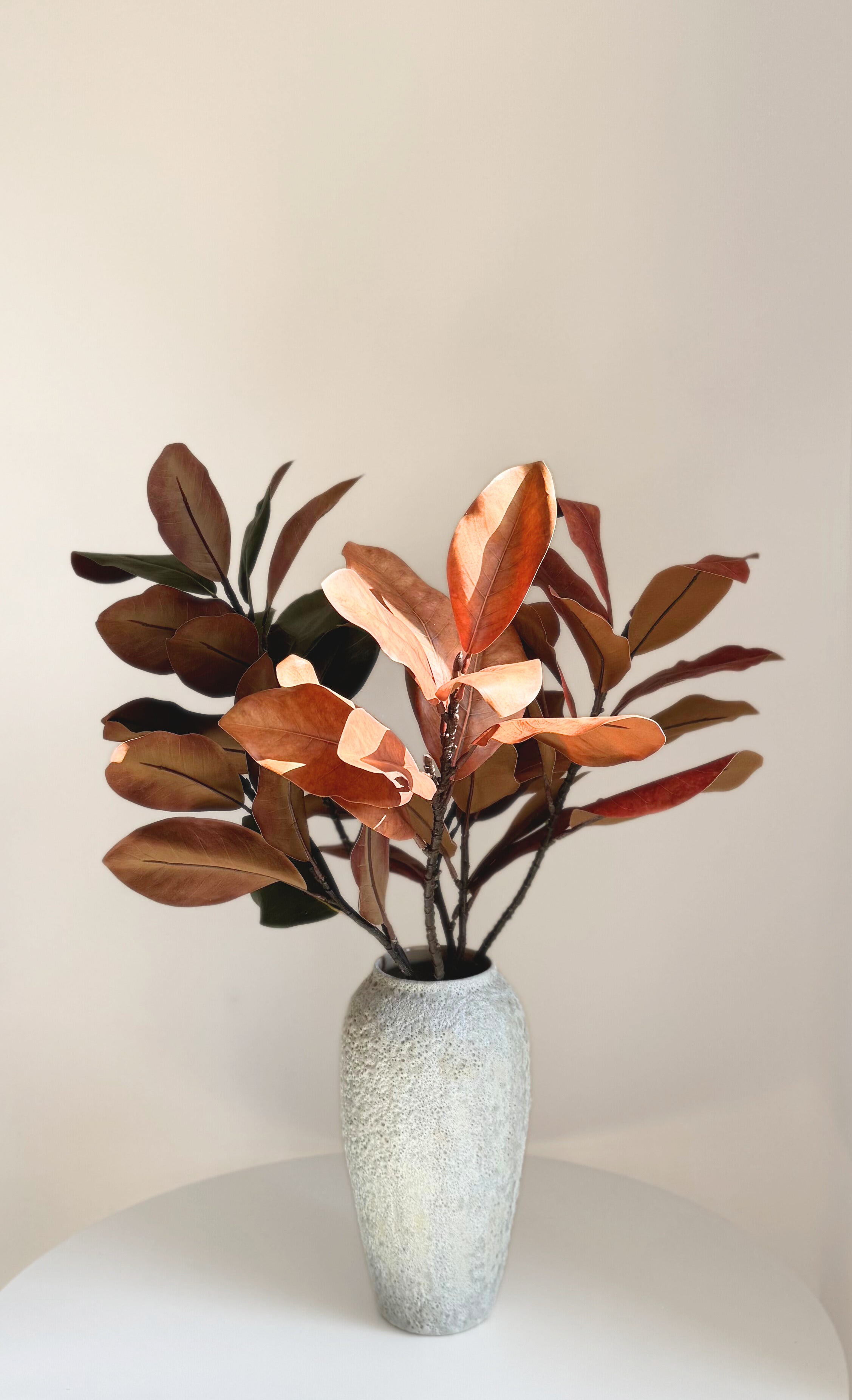 Large Magnolia Branches - Autumn