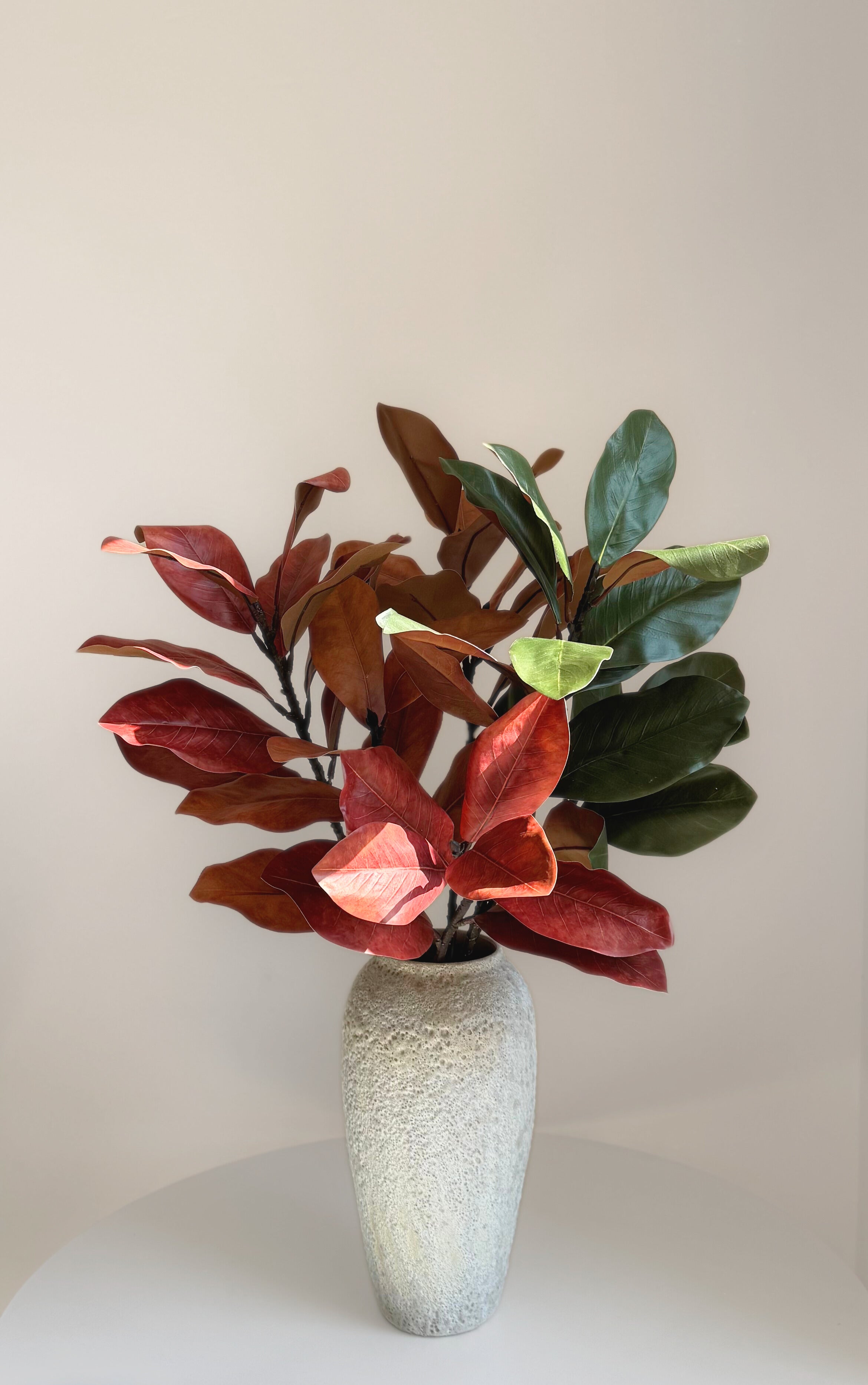 Large Magnolia Branches - Green & Red