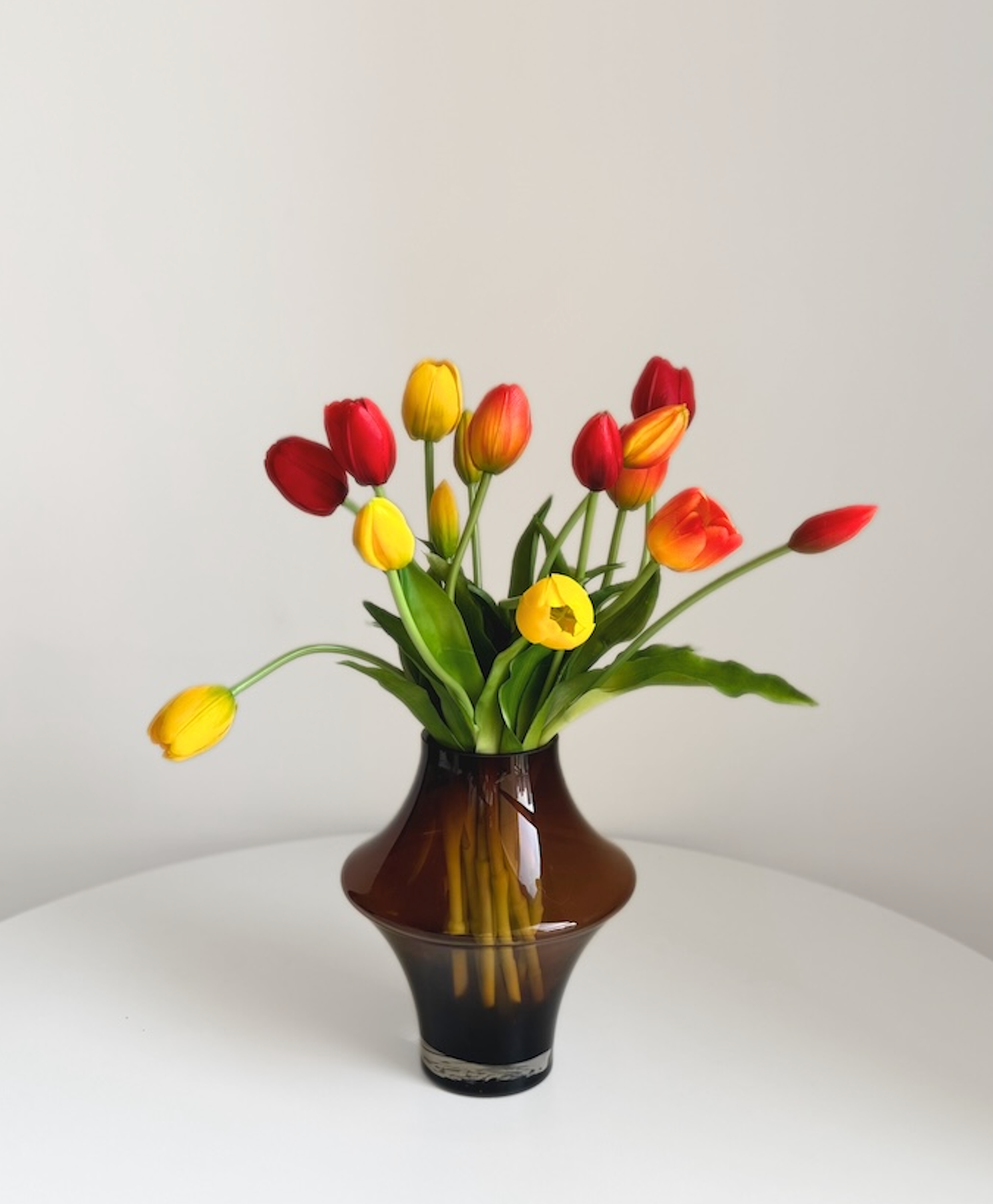 Marmelade Tulips bunch of 15
