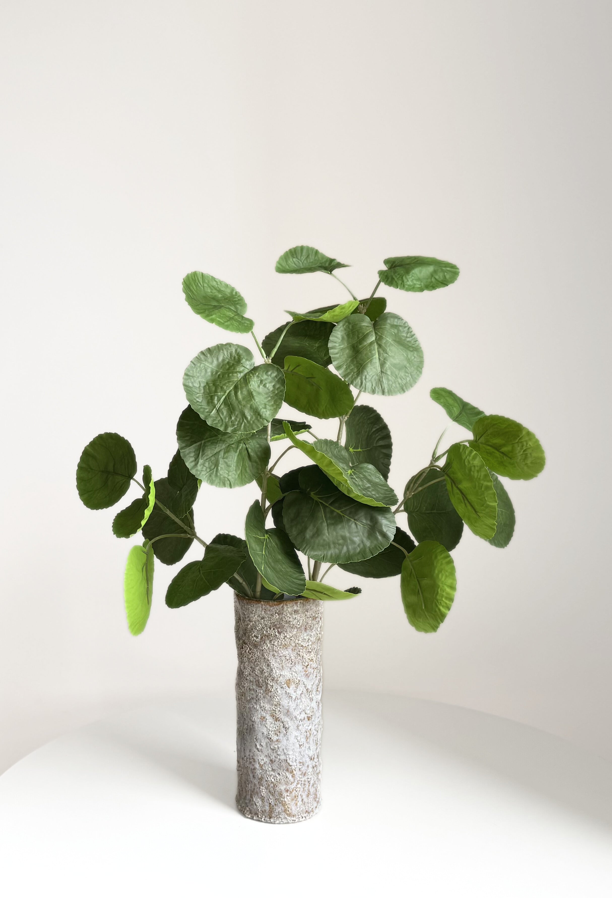 Plum Aralia Leaves - green