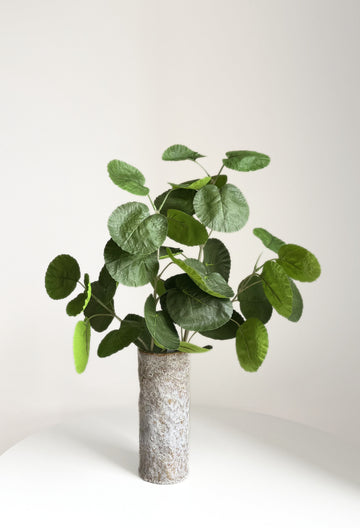 Plum Aralia Leaves - green