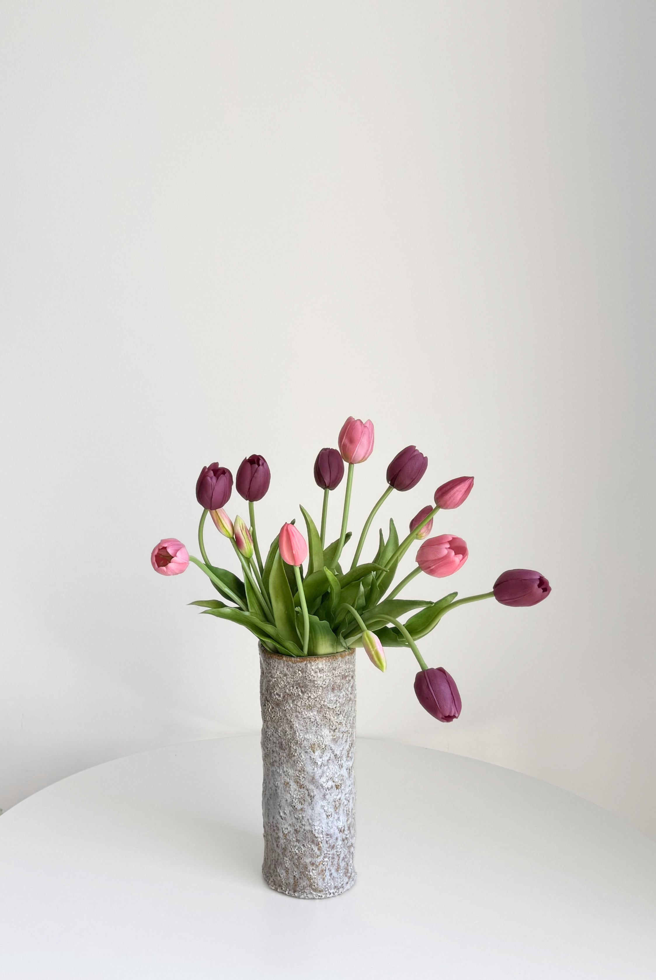 Plum Tulips bunch of 15