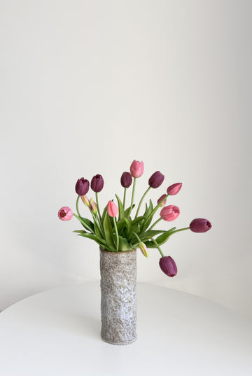 Plum Tulips bunch of 15