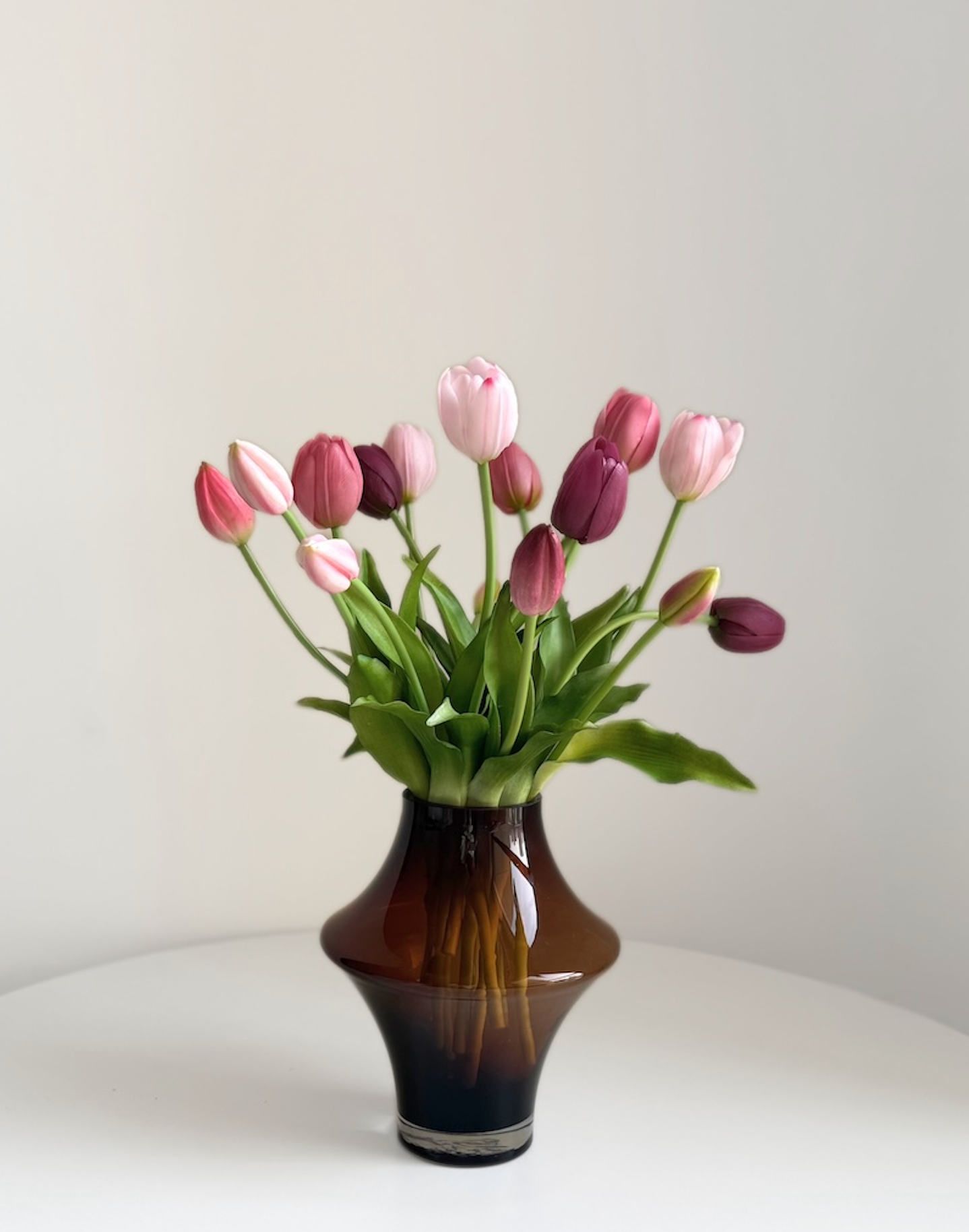 Plum Tulips bunch of 15