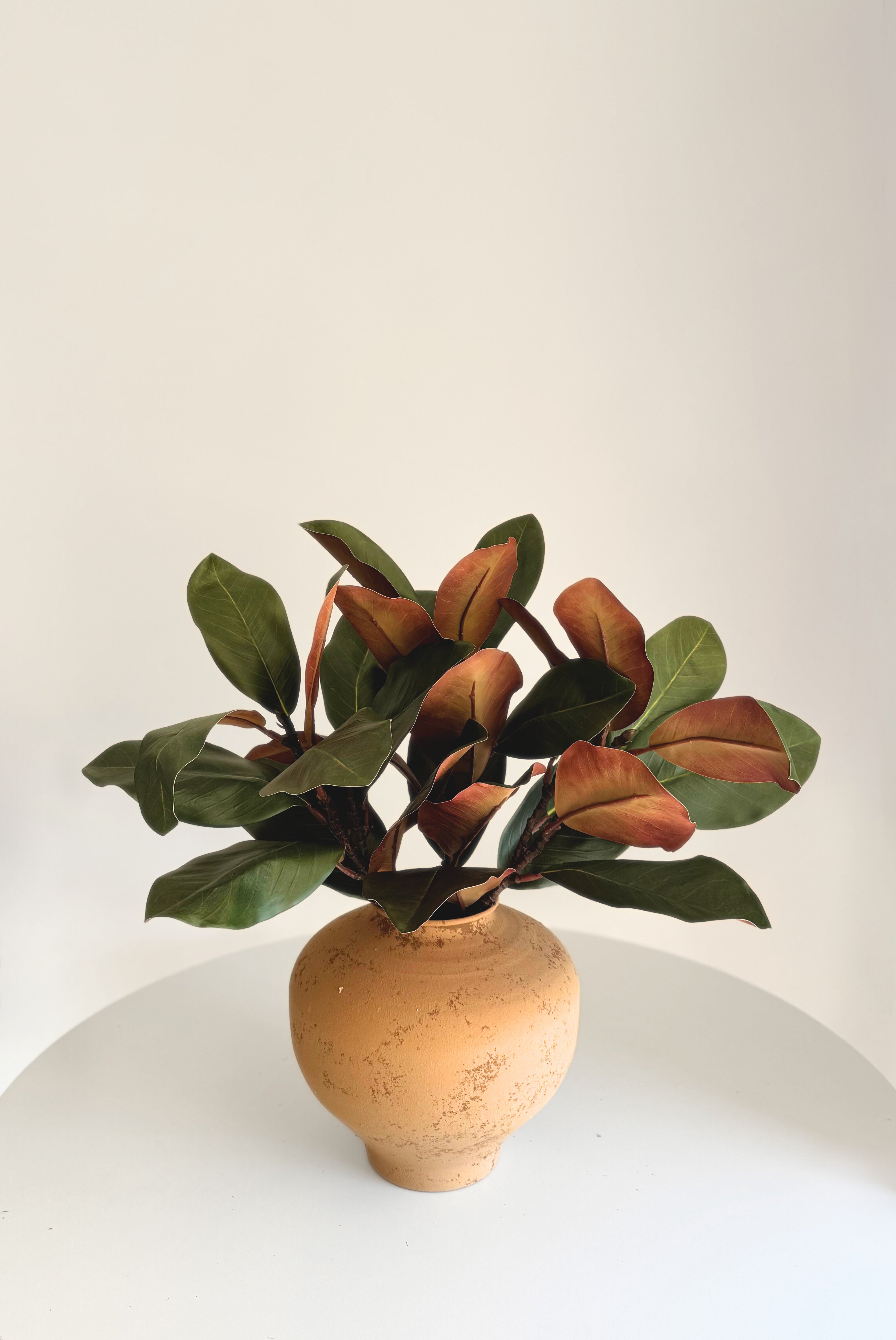 Short Magnolia Branches