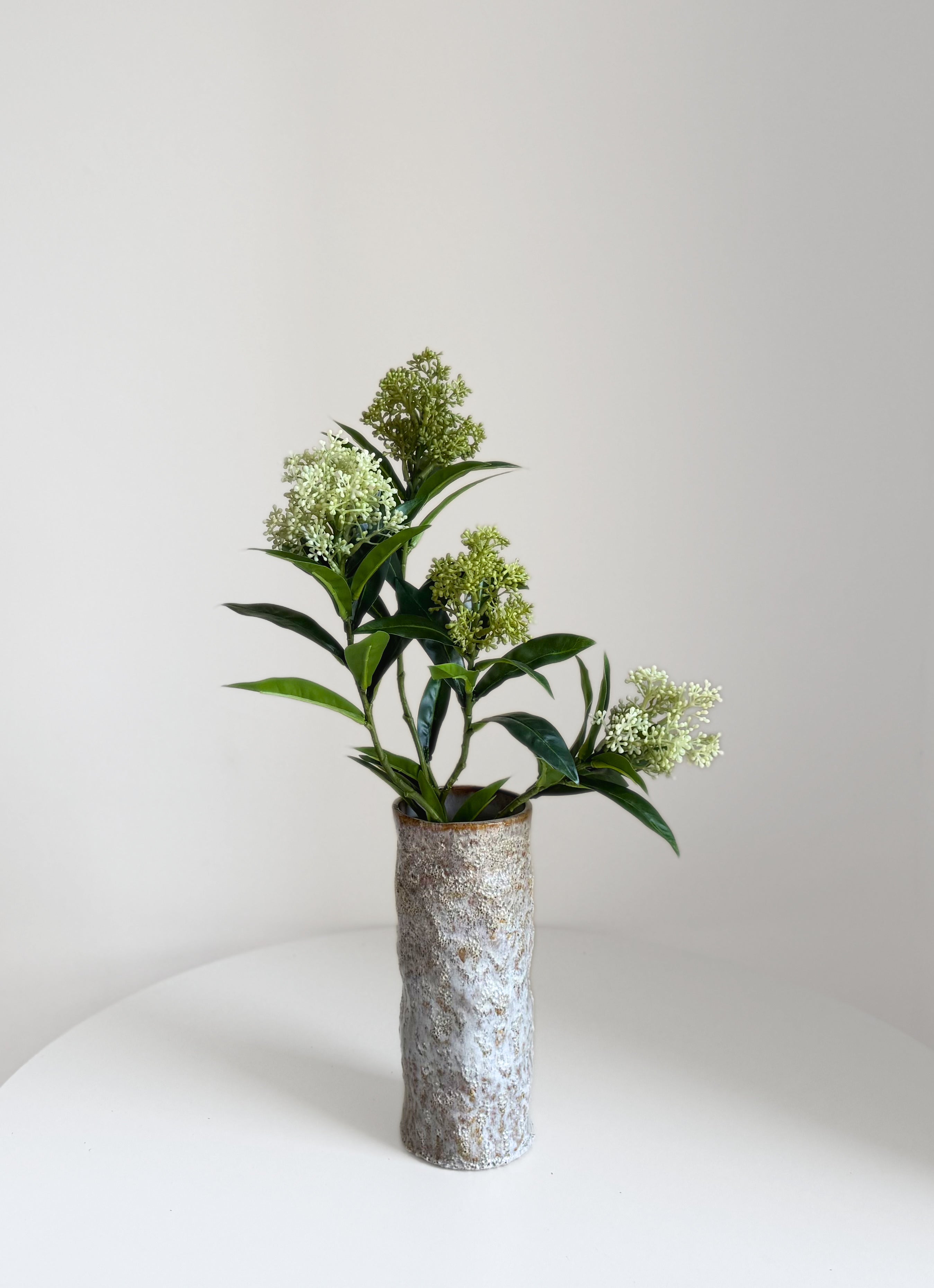 Skimmia Branches - set of 2