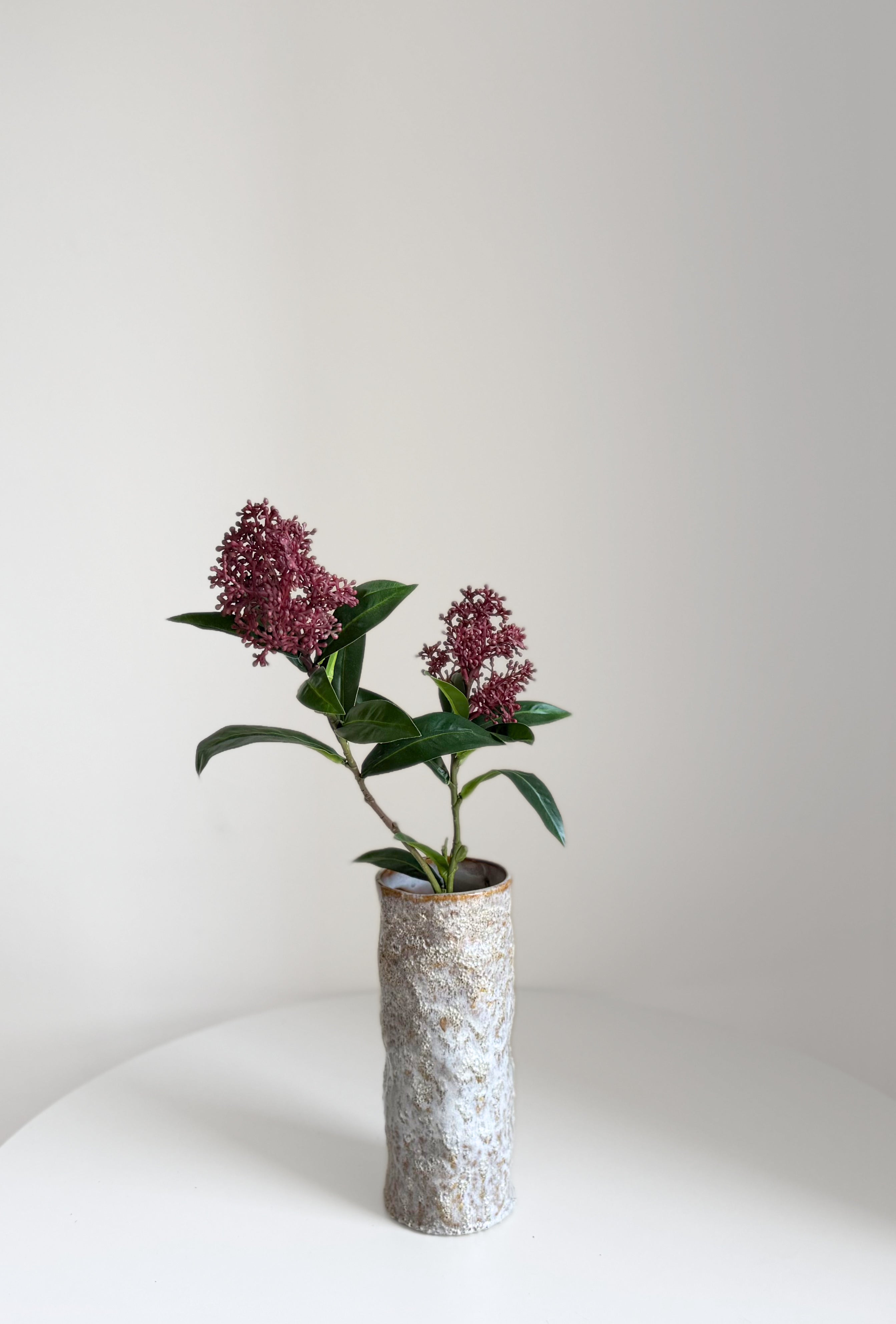 Skimmia Branch - dark red