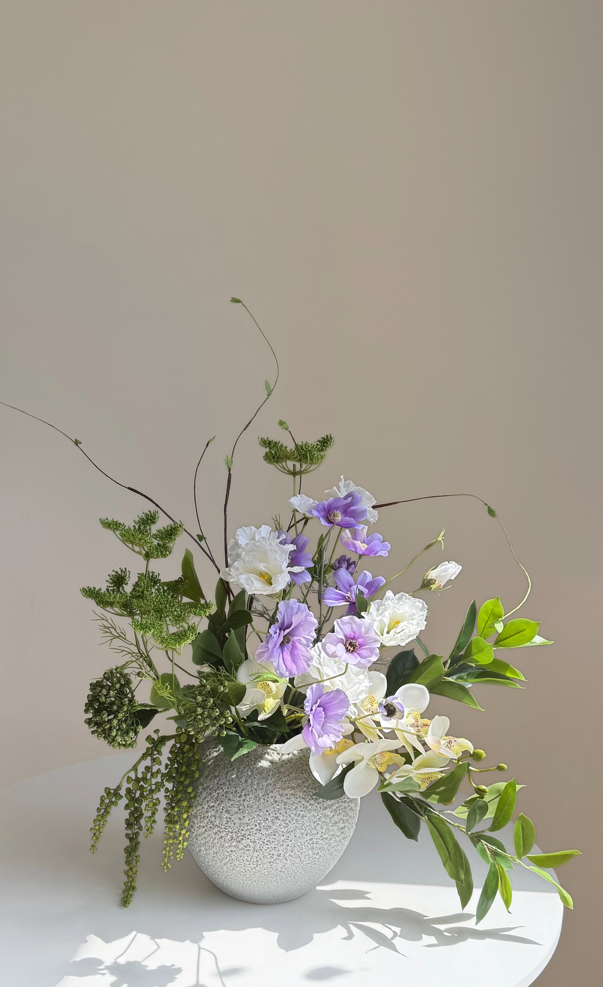 Spring Violet