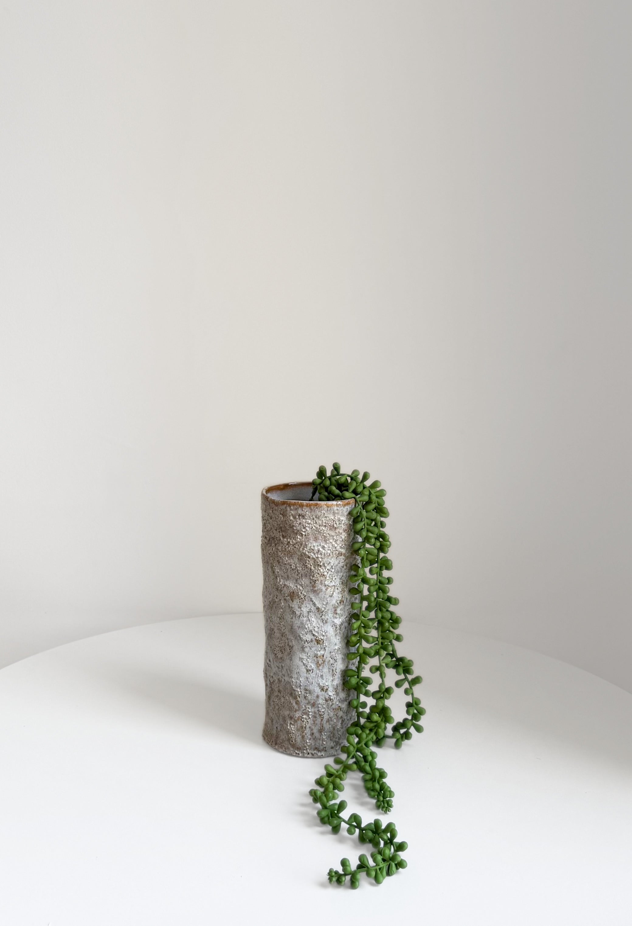 String of Pearls Hanging Succulent