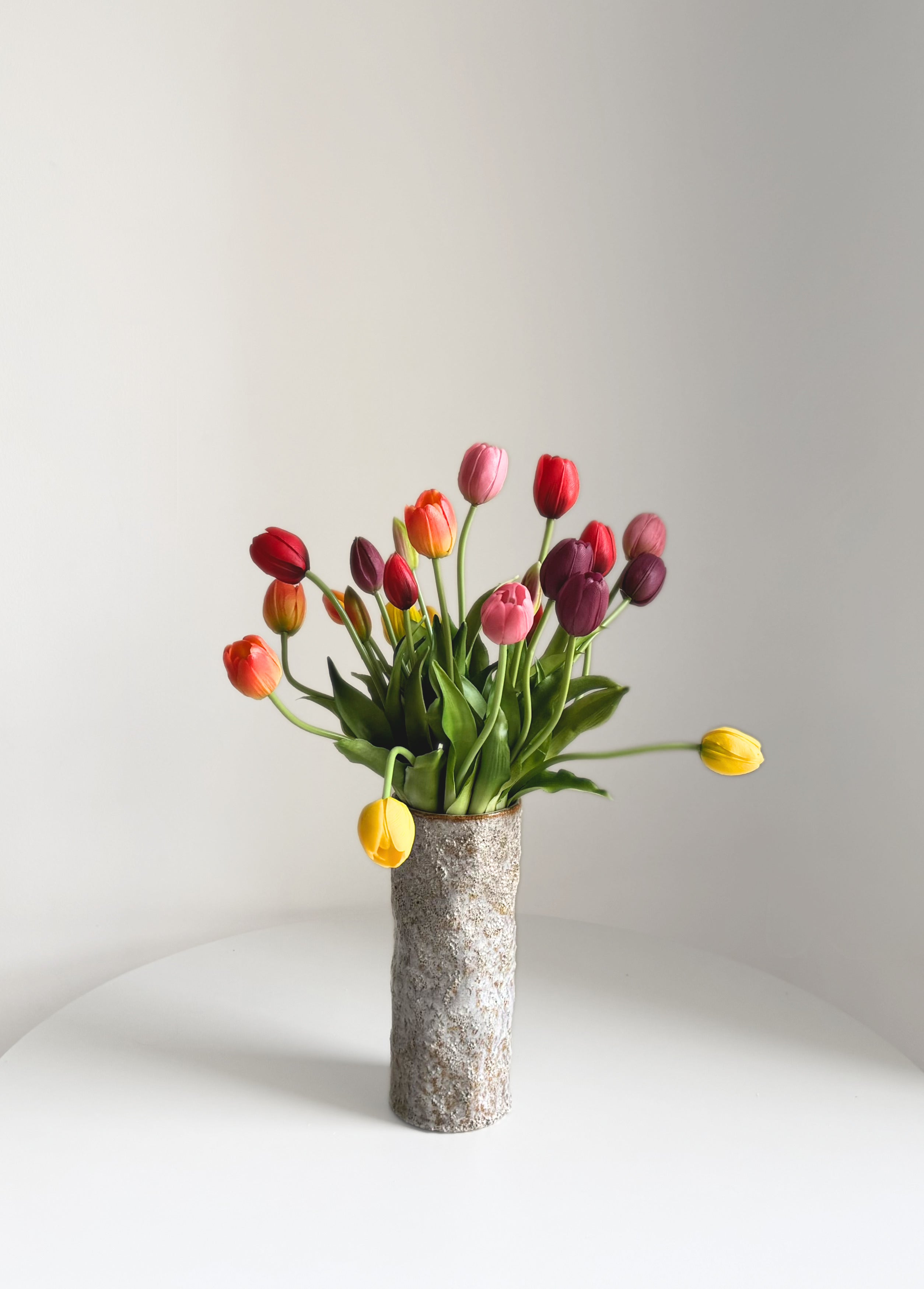 Vibrant Tulips - bunch of 25 stems