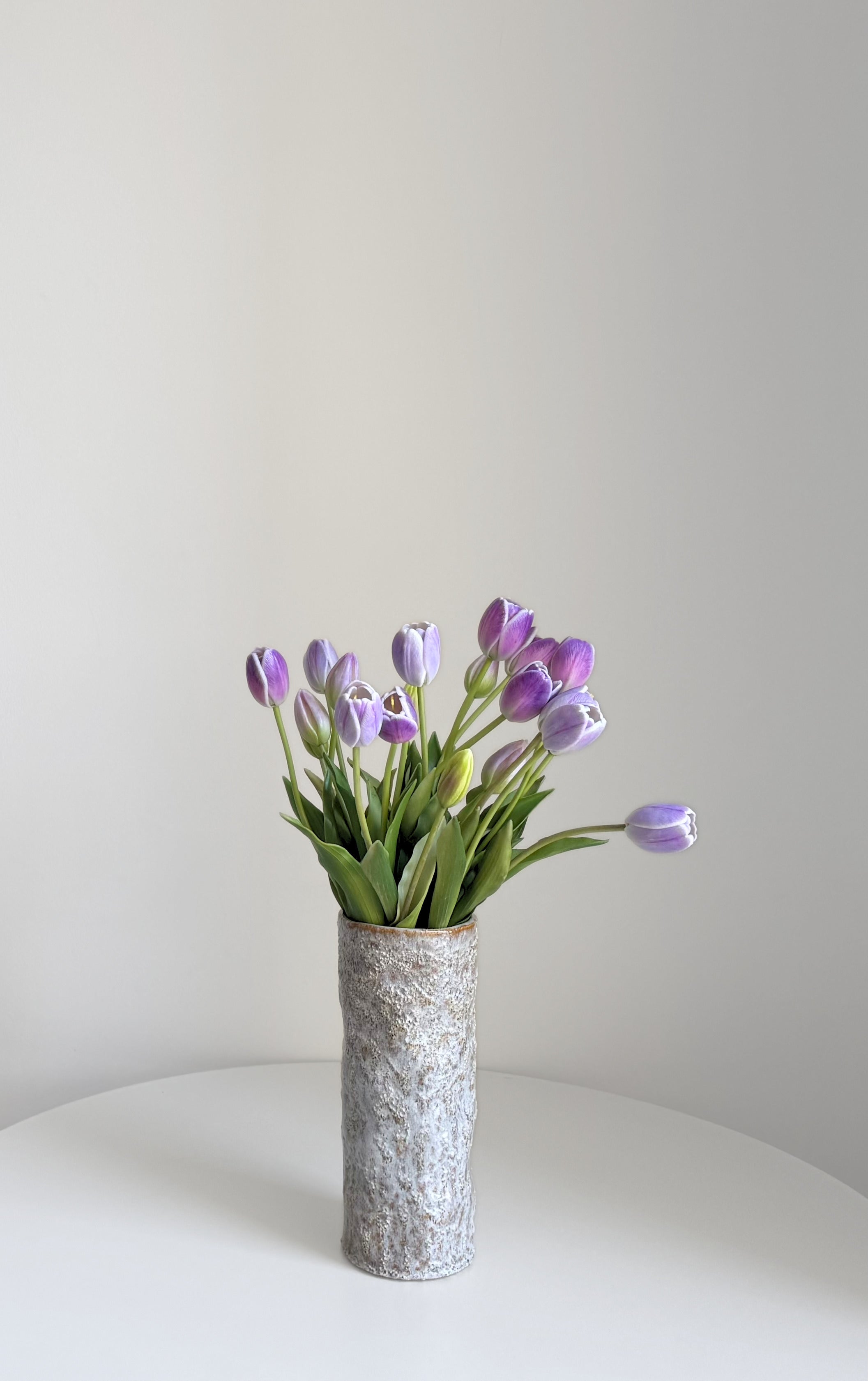 Violet Tulips bunch of 20